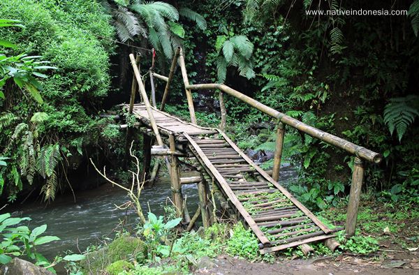 jembatan kayu 1 - curug tilu leuwi opat