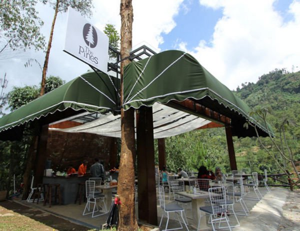 the pines cafe maribaya