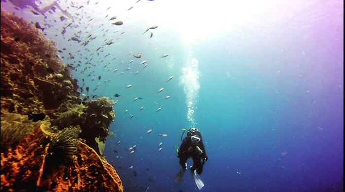 Bunaken Diving 1