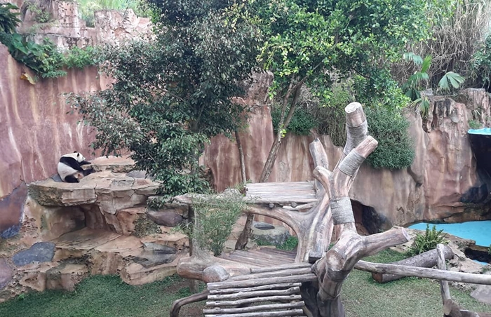 Taman Safari Bogor Istana Panda 1