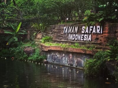 Taman Safari Bogor Pool