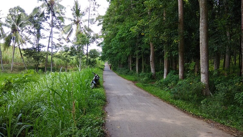 Jalan Menuju Situs Duplang