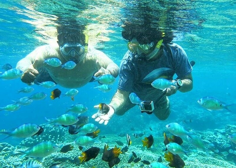 Snorkeling Seru