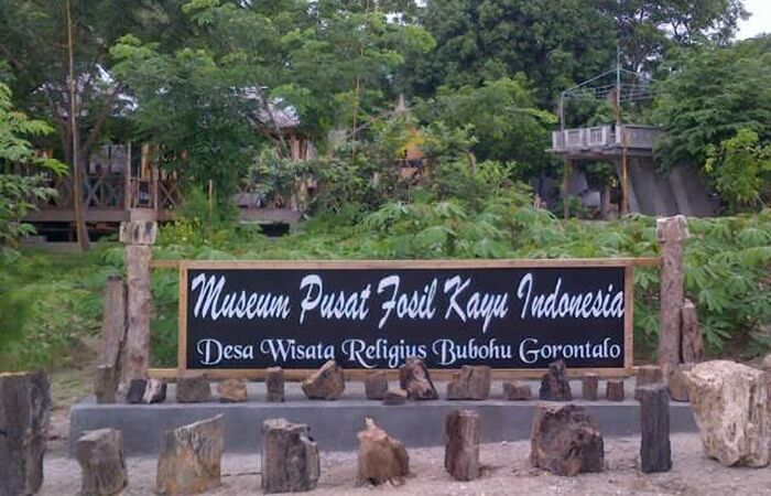 koleksi museum fosil kayu di desa adat Bubohu