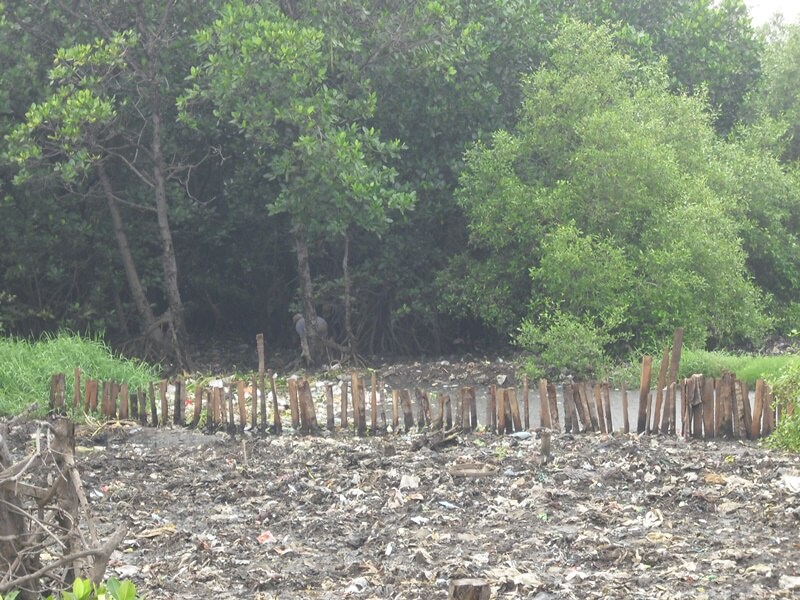 Area Sampah Sebelum Bjbr Probolinggo Ada