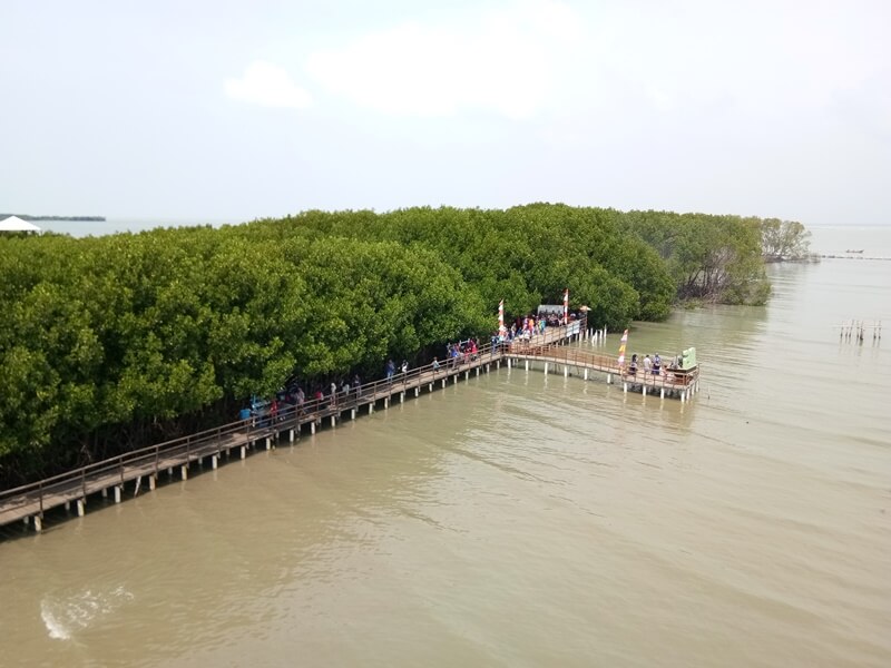 Penataan Kawasan Mangrove Brebes
