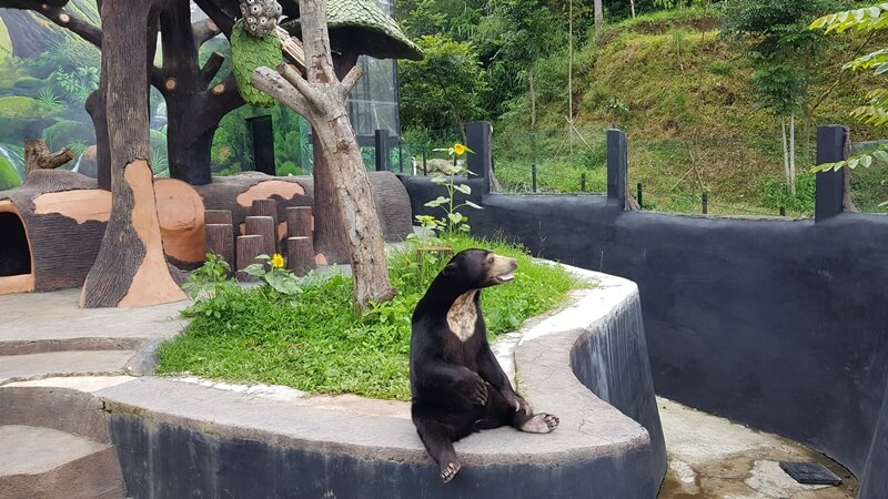 Kebun Binatang Lembang Park And Zoo