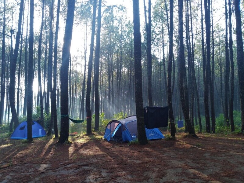Camping Ground Curug Layung