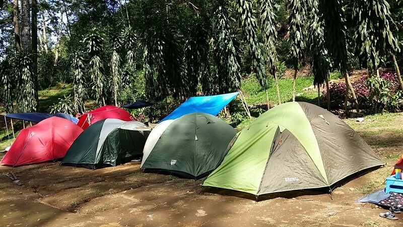 Camping di Area Curug Cijalu