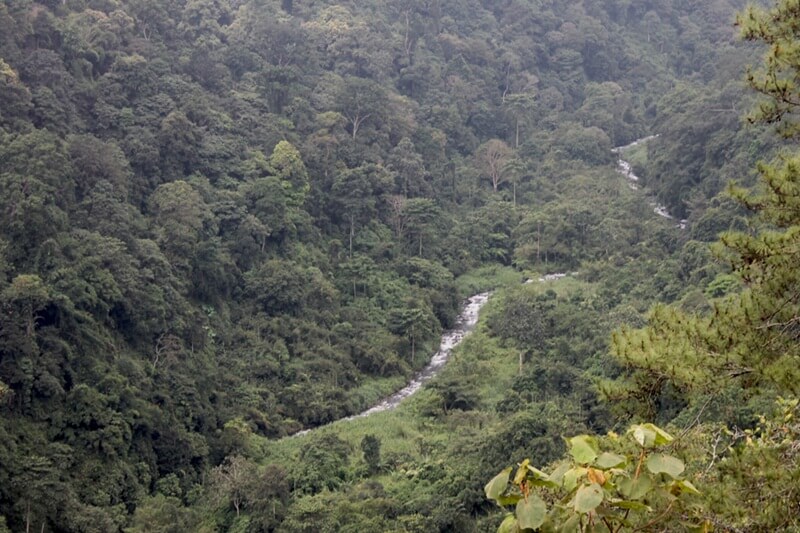 Taman Hutan Raya Raden Soerjo
