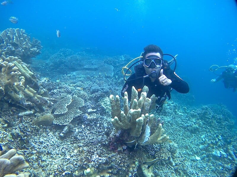 Diving di Taman Laut Olele