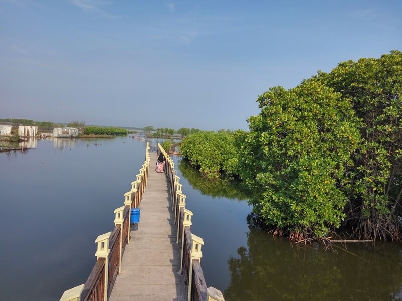 eskplor mangrove park