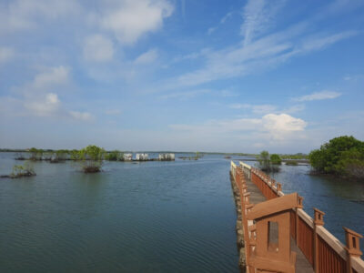 mangrove park kondisi terkini