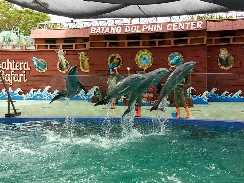 batang dolphin center