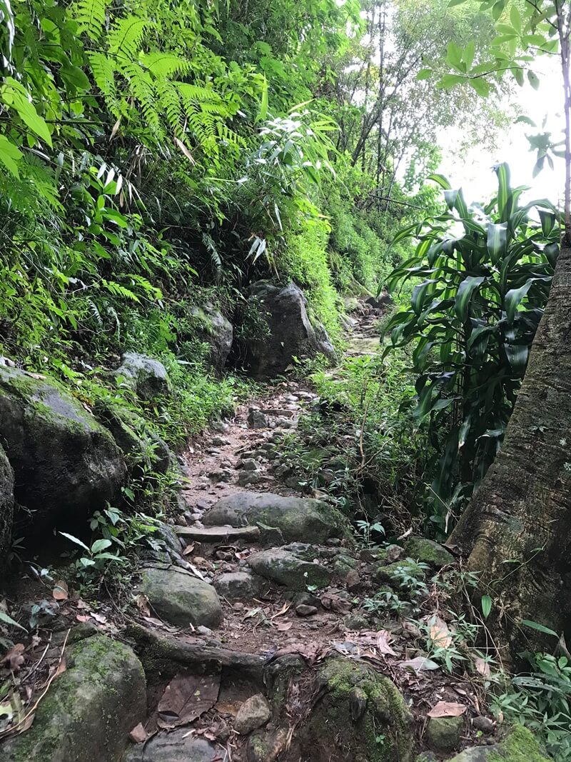 jalur trekking