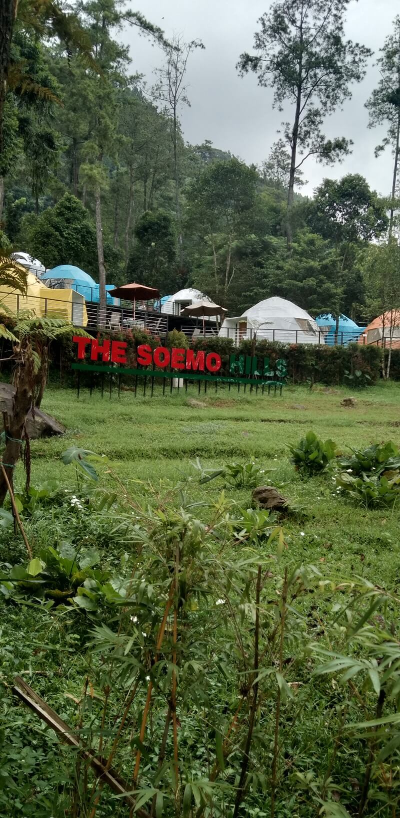 the soemo hills