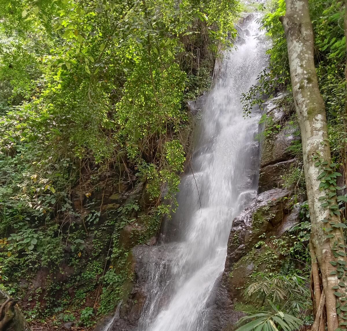 Curug Pitu, Air Terjun Tujuh Tingkat Di Banjarnegara - NativeIndonesia.com