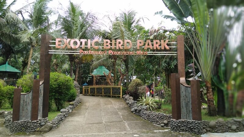 spot wisata exotic bird park