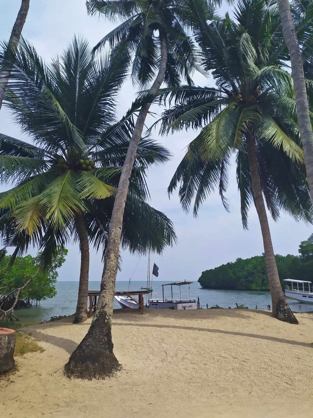 Pantai Mayangkara