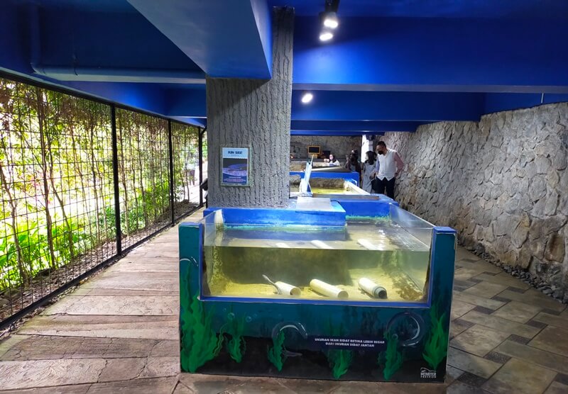 monster aquarium
