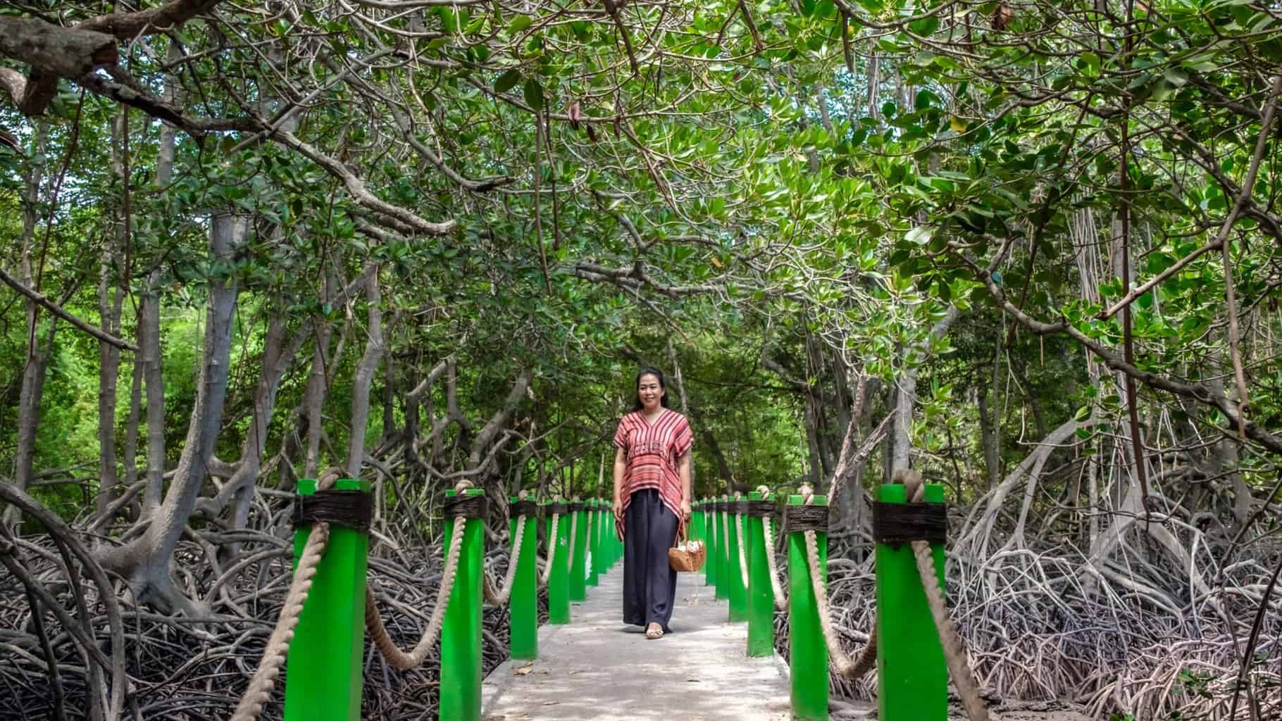 hutan mangrove