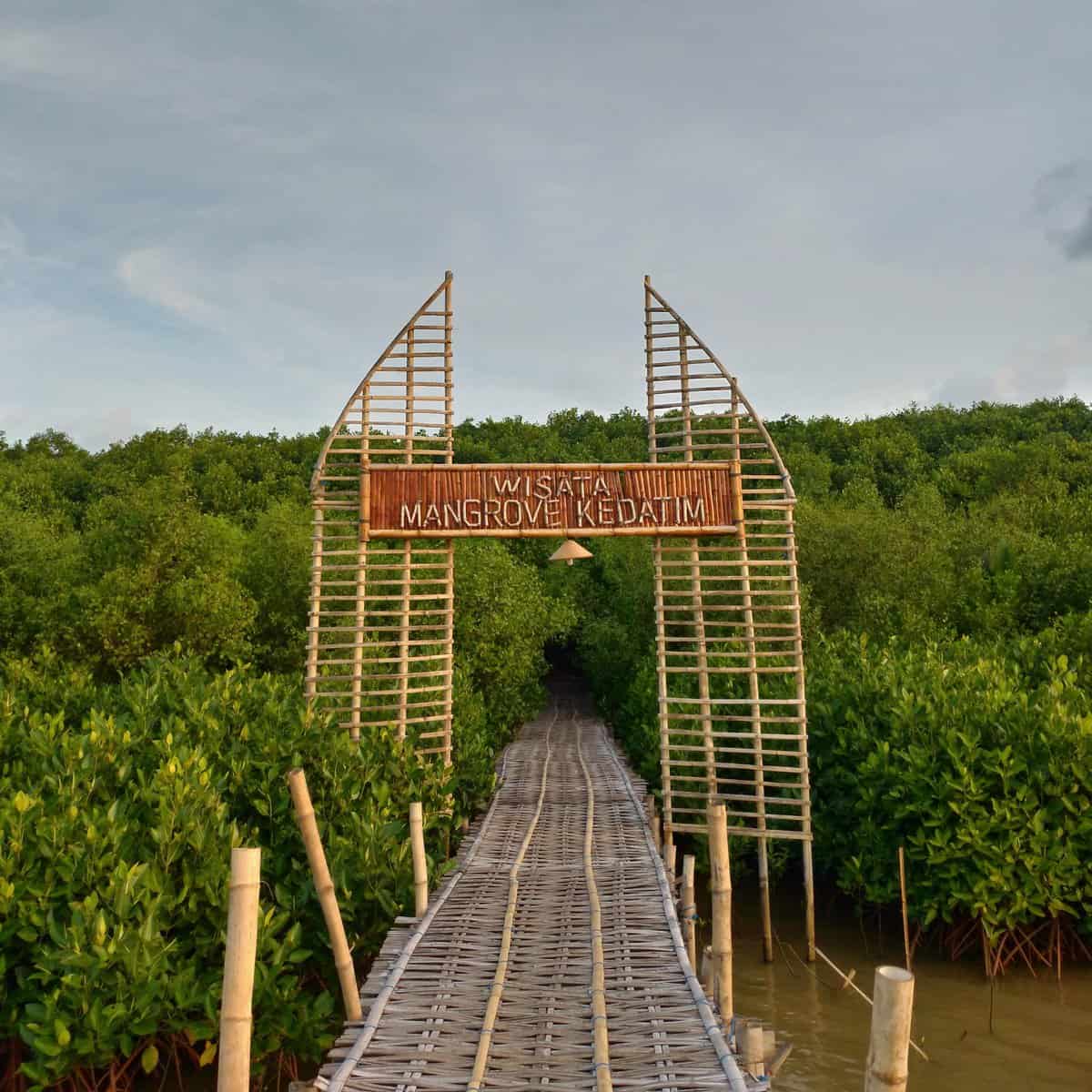 Wisata Mangrove Kedatim