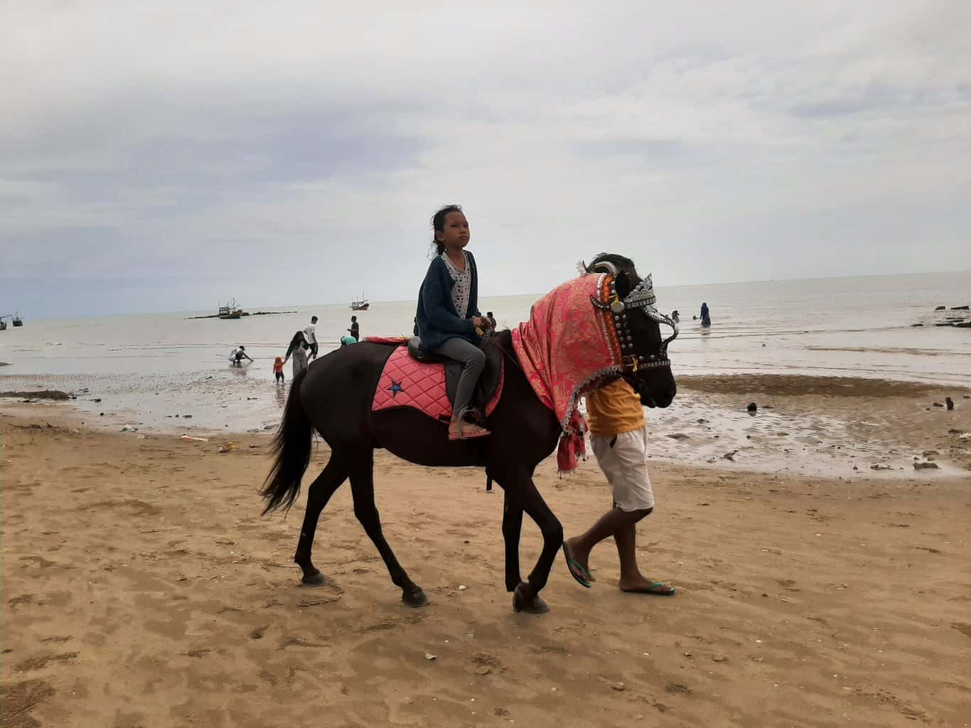 naik kuda keliling pesisir pantai