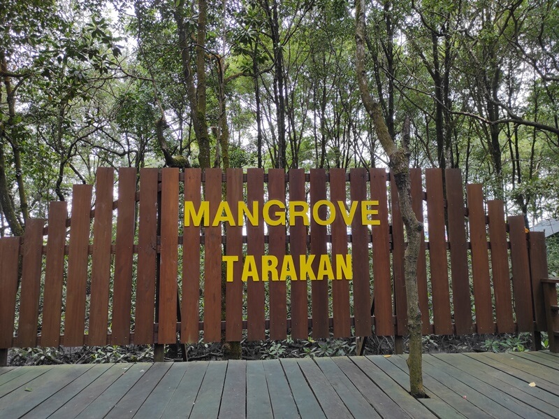 hutan mangrove tarakan