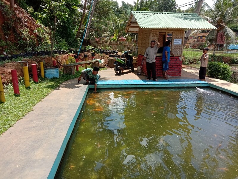 kolam terapi kampung teratai