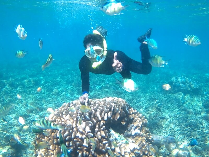 snorkeling di pulau samalona