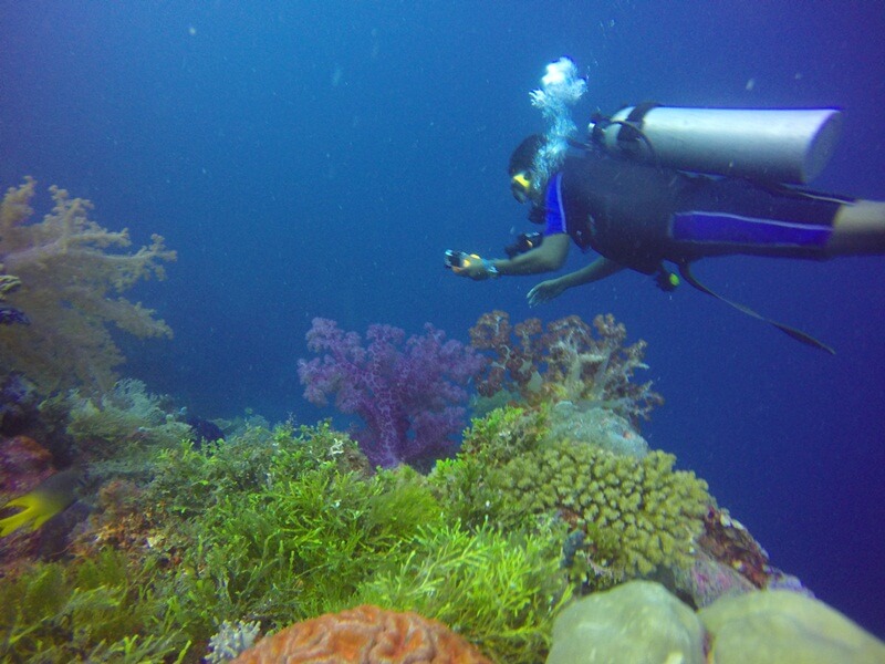 spot diving favorit di wakatobi