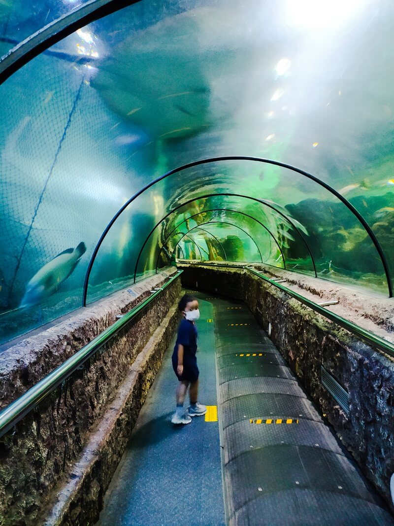 under water tunnel