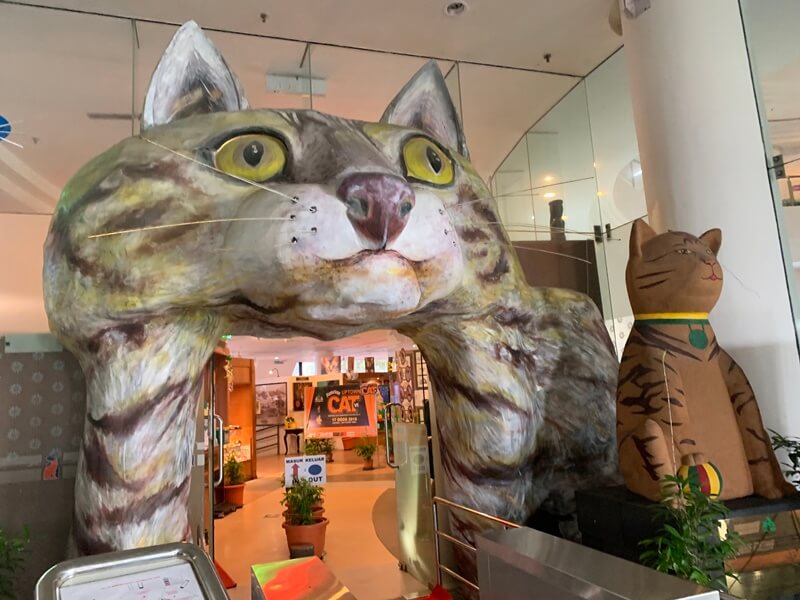 museum kucing
