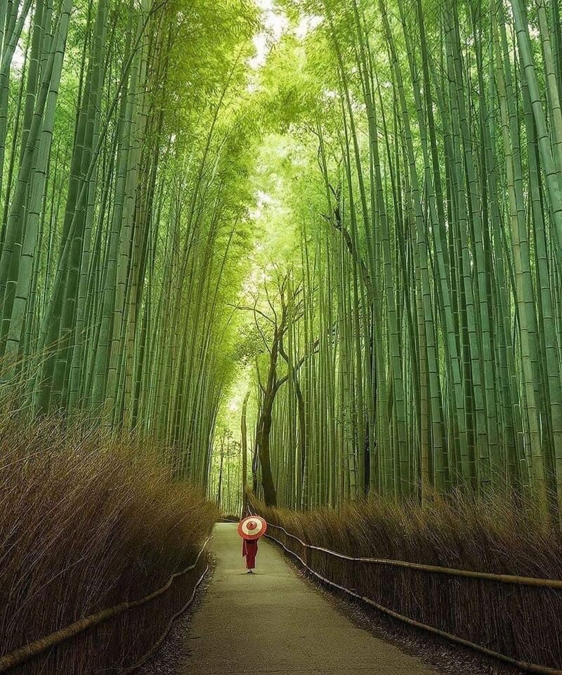 arashiyama, kyoto